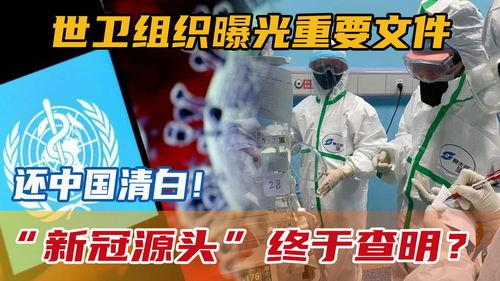新冠源头爆料视频  第2张